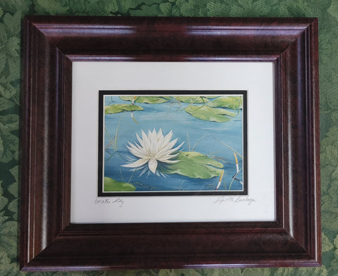 Signed Water Lily Print Lynette Burbage Framed