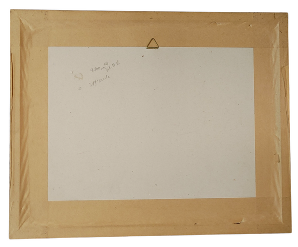 Framed Fish Print Sparus Erthyrinus Anatomical Scientific Illustration