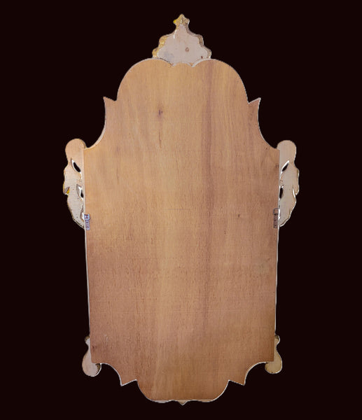 French Country Style Distressed Carved Floral Wall Mirror 5'