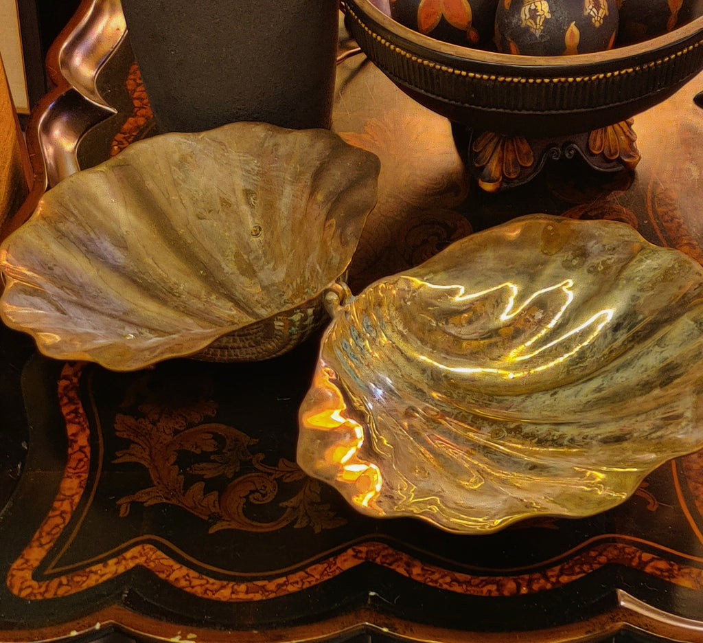 Brass Clam Shell  Oversized – BOHTEAK